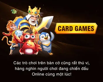 Trực Tiếp Từ Trường Gà
